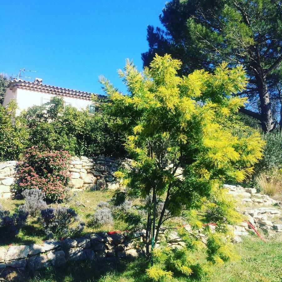 L'Oustaou B&B Piscine & Spa Besse-sur-Issole Exterior foto